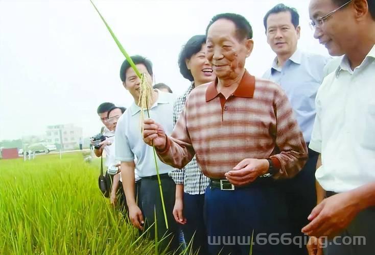 关于袁隆平去世辟谣是怎么回事？我们一起来回顾事件始末。