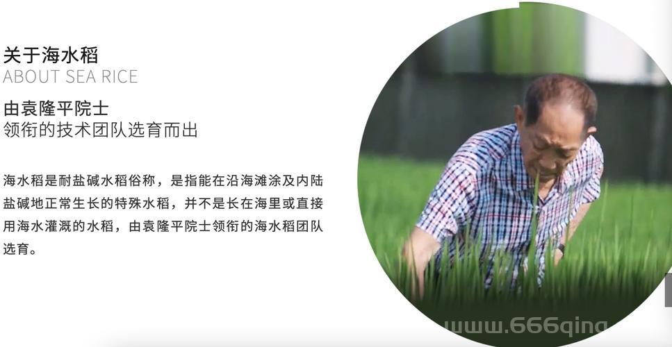 关于袁隆平去世辟谣是怎么回事？我们一起来回顾事件始末。