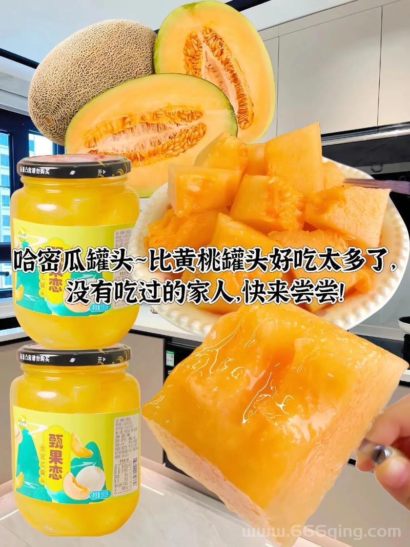 金罐喜欢什么吃的？这几种食物可能是它的心头好！