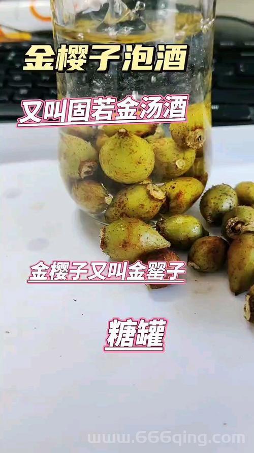 金罐喜欢什么吃的？这几种食物可能是它的心头好！