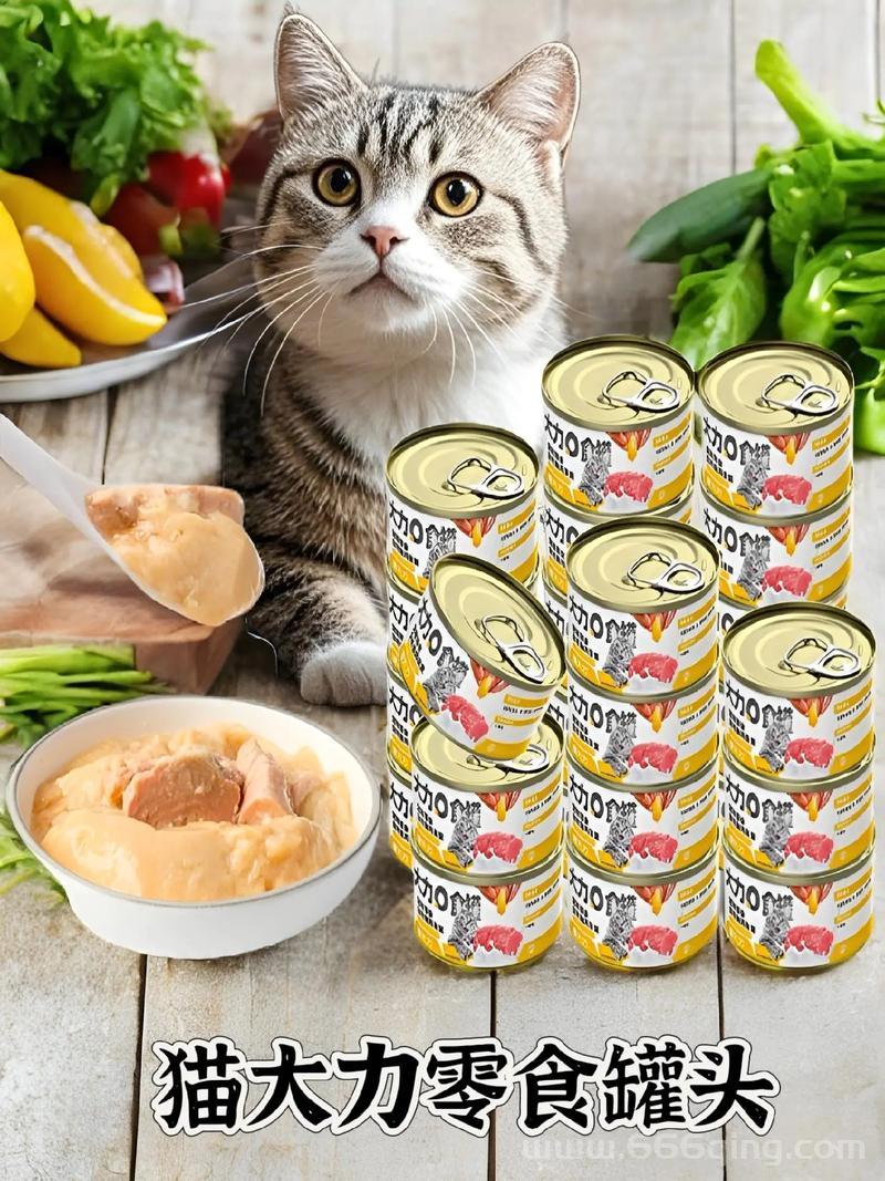 金罐喜欢什么吃的？这几种食物可能是它的心头好！