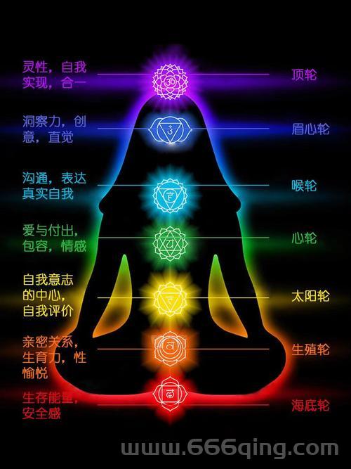 进化世界轮子是啥？新手一看就懂的入门科普！