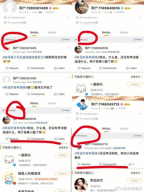 迪符特刷什么词条好？这里有详细的解答！