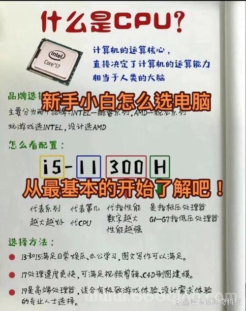迅雷看看播放组件是干什么用的？电脑小白也能看懂的介绍！
