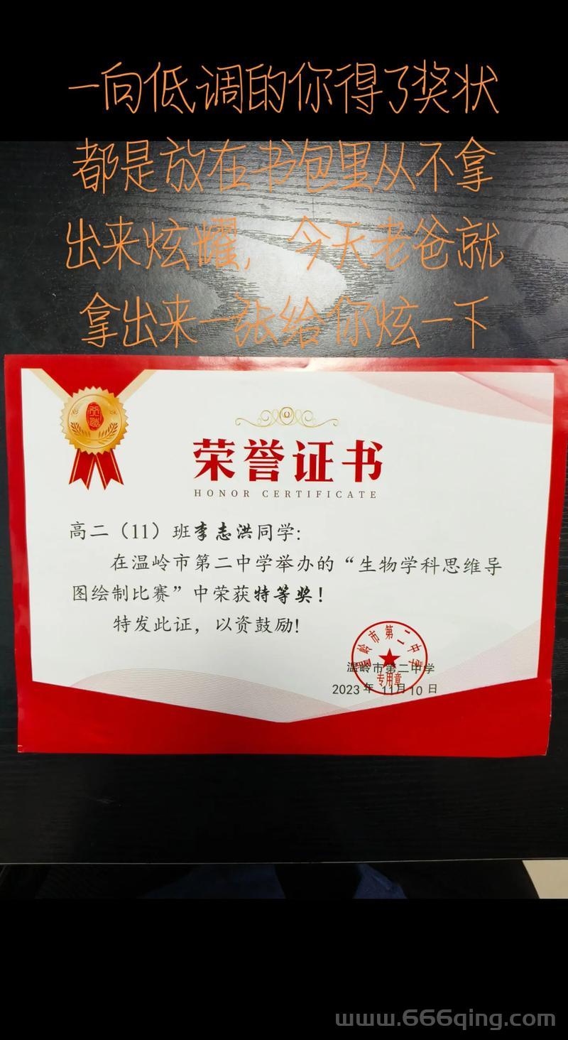 荣誉执行官是真的吗？揭秘荣誉执行官的真相！