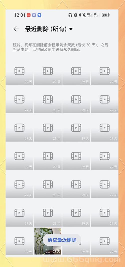 迅雷看看怎么看不了？别急，一分钟教你搞定！