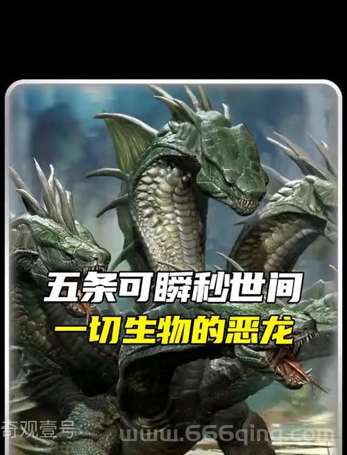 想了解巨龙所知道的看这里！为你整理核心内容和深度解读！