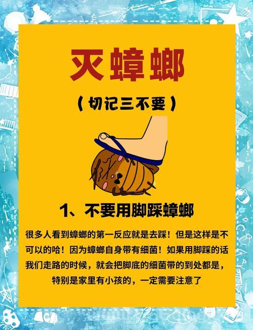 蟑螂害怕什么？这些天然驱蟑方法简单有效！