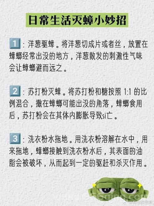 蟑螂害怕什么？这些天然驱蟑方法简单有效！