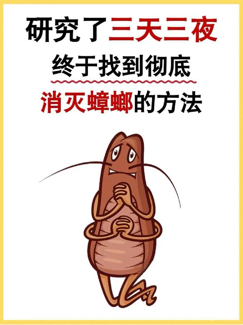 蟑螂害怕什么？这些天然驱蟑方法简单有效！