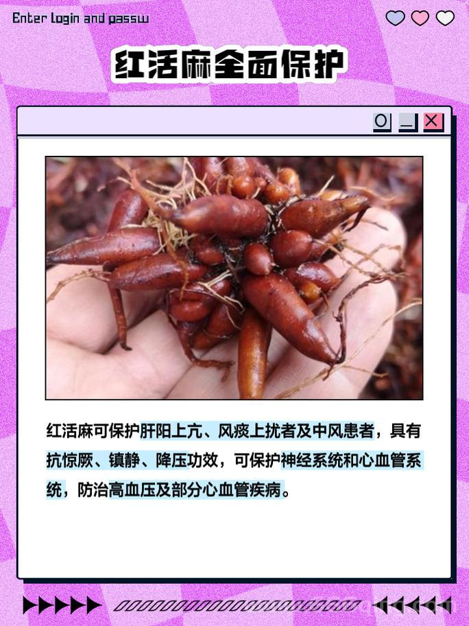 血荨麻有啥用？这几种作用你一定想知道！