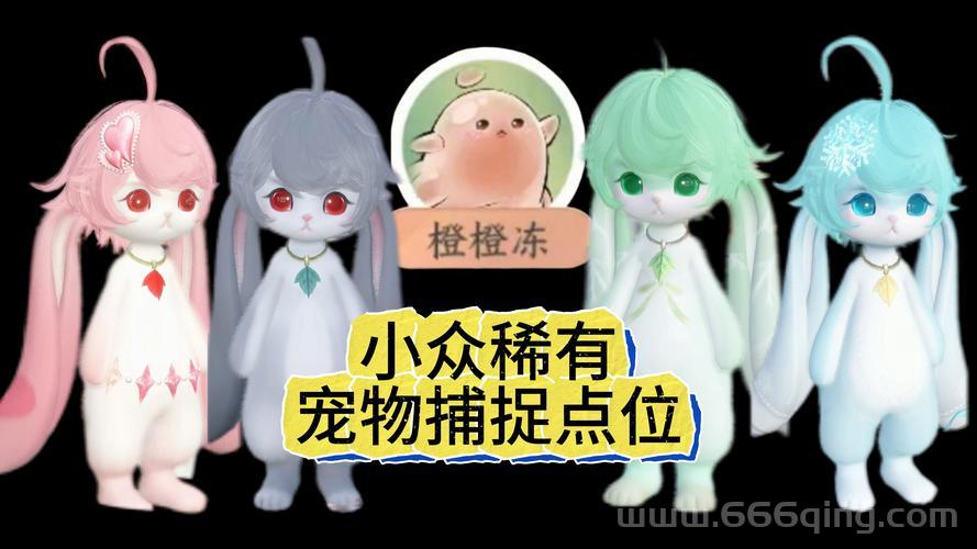 翡翠林稀有宠物坐标分享，轻松捕捉稀有宠物