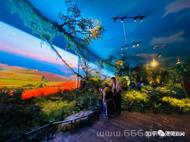 红房子攻略哪家强？本地人带你解锁隐藏玩法！