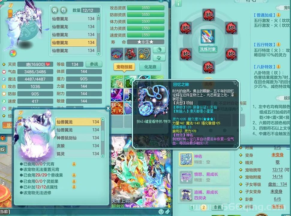 神武碧波仙子饰物搭配什么好？资深玩家分享！