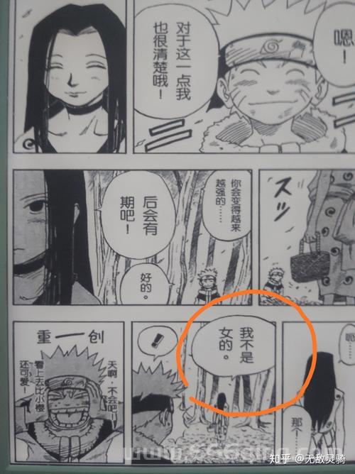 白是男是女？看完这篇文章你就全明白了！
