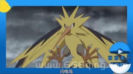 盘点电系宝可梦实力！这十个最强电系宝可梦必看！
