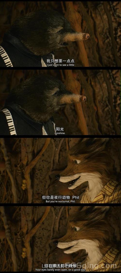 玄海迷踪值得一看吗？看完这篇影评再决定！