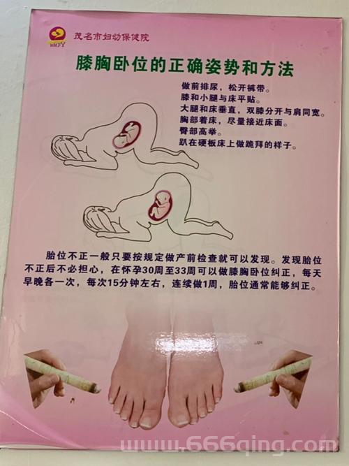 熏爱怎么做？几个简单步骤教你快速上手！