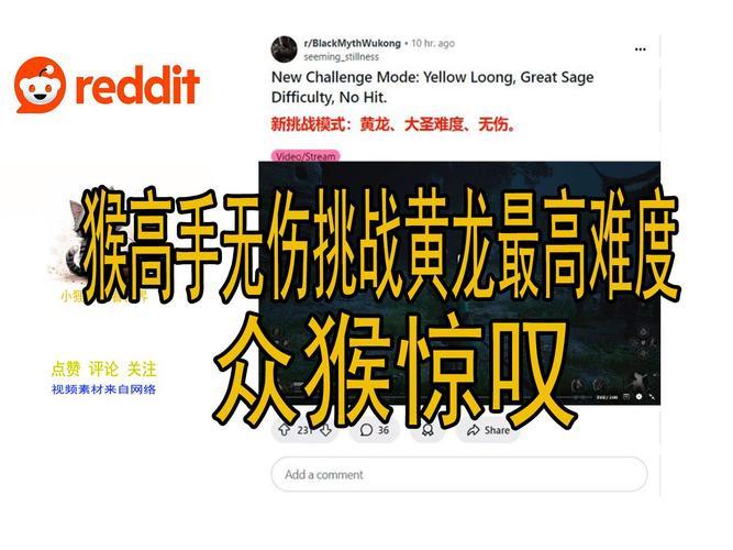 猴子守城高分通关秘诀？大神分享实战经验！