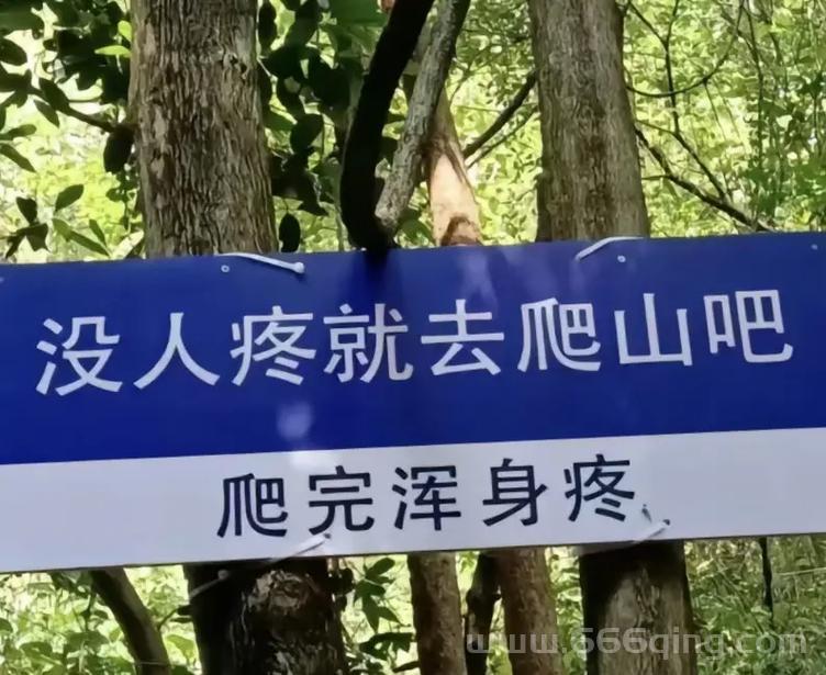 爬山梗是啥意思？网络热梗“爬山”的出处揭秘！