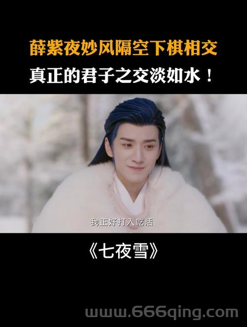 流星蝴蝶剑七夜听雪怎么样？超燃武侠小说别错过！