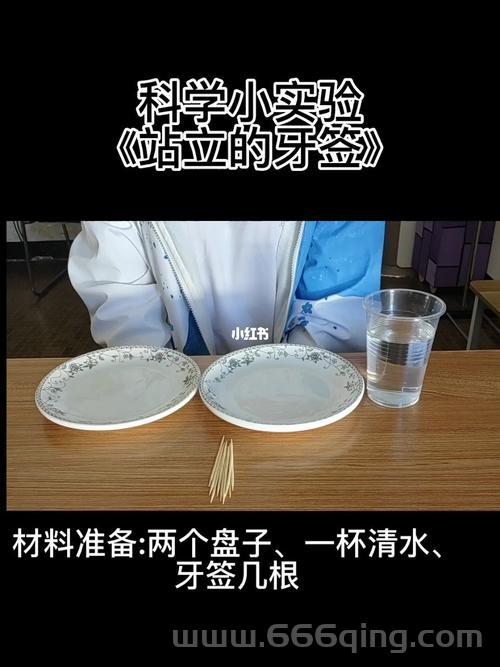 牙签是谁制造的？一根小小的牙签背后的大产业！