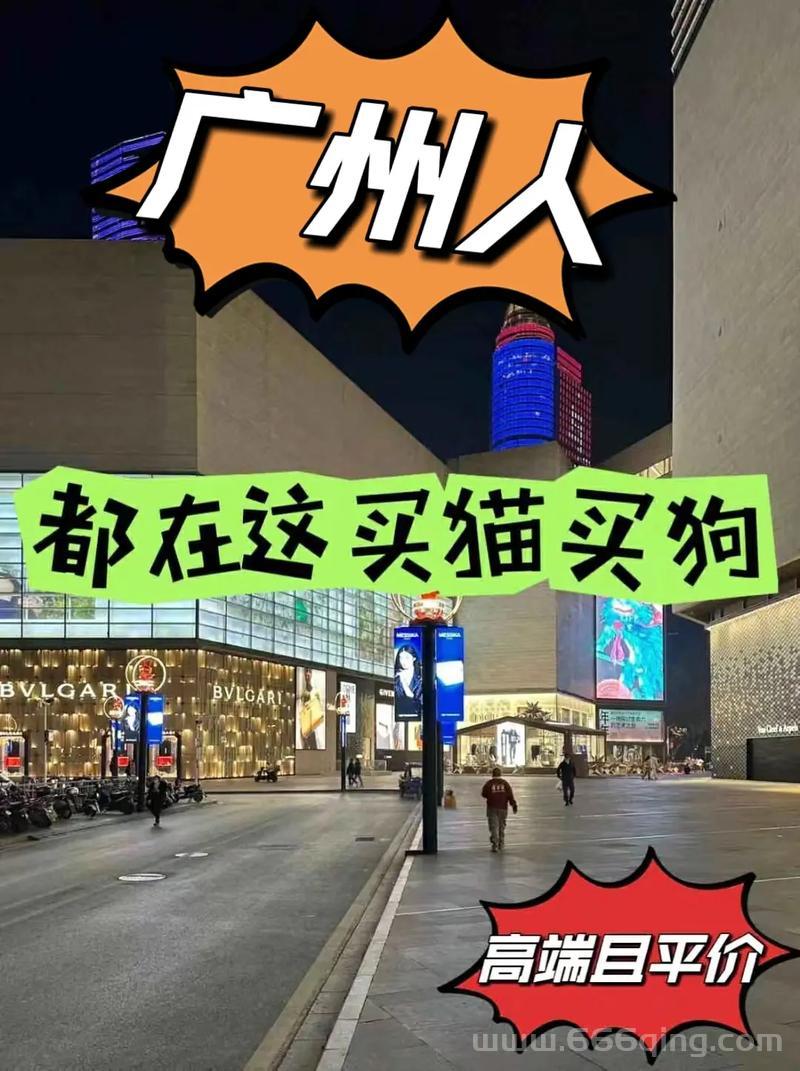 狗民团购靠谱吗？宠物用品折扣大放送，别错过！