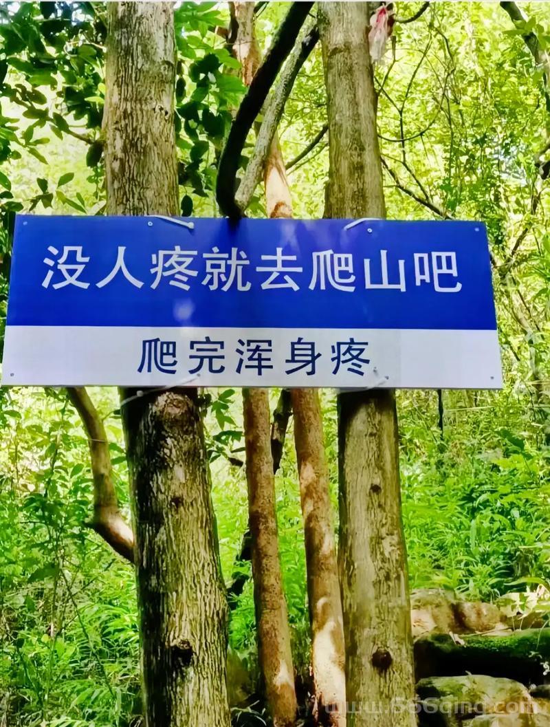 爬山是啥梗？不明真相的吃瓜群众看过来！