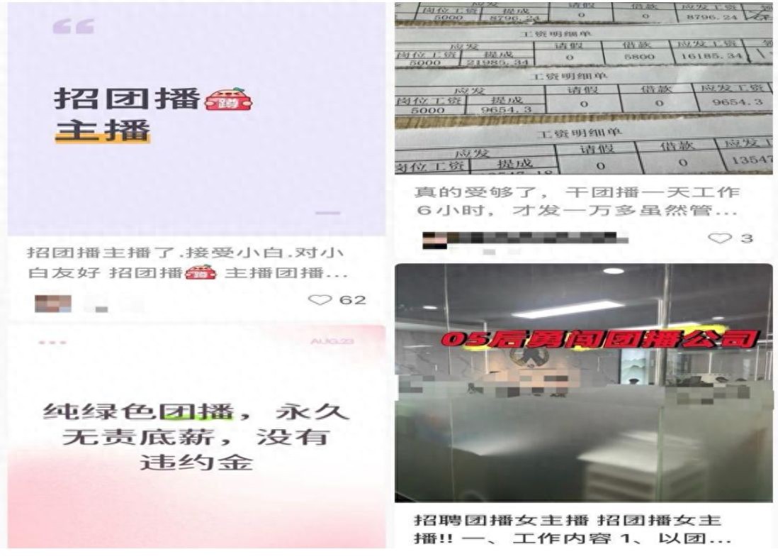 团播直播行业市场规模_淘宝全球购直播申请_京东全球购团播试水