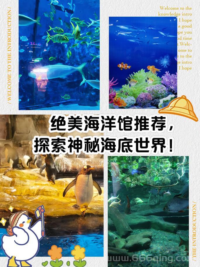 海底冒险记好玩吗？带你潜入神秘的海底世界探险！