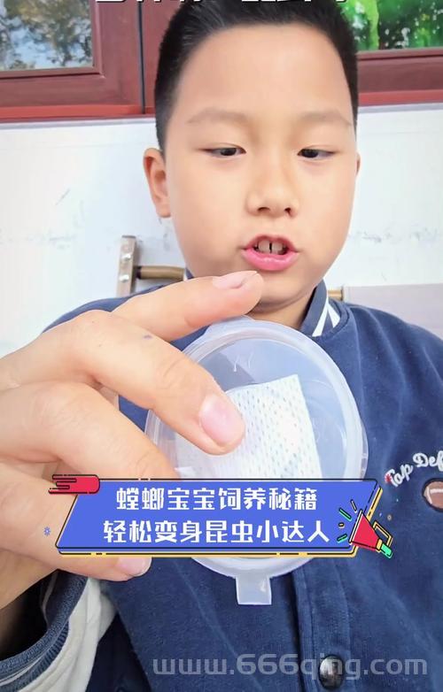 水螳螂怎么养？新手也能轻松掌握的饲养技巧！