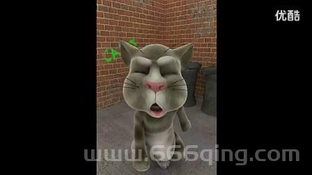汤姆猫伤不起游戏攻略，新手必看快速上手指南！