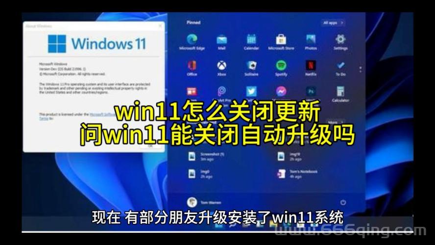 永久升级每天正常更新在哪设置？手把手教你操作！