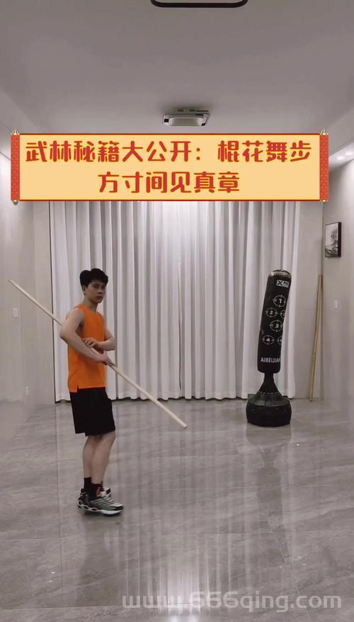 武林立志传操作指南：新手小白快速上手的基本技巧分享