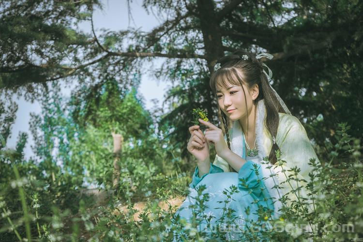 楚留香新传之桃花传奇免费观看，这个网站可以看全集！