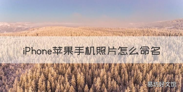 苹果手机照片怎么命名，苹果手机相册顺序设置方法