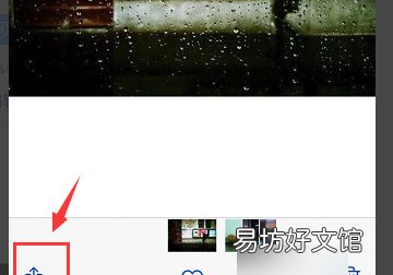 苹果手机照片怎么命名，苹果手机相册顺序设置方法