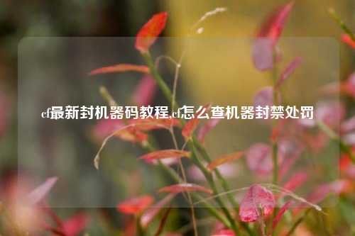 cf最新封机器码教程,cf怎么查机器封禁处罚