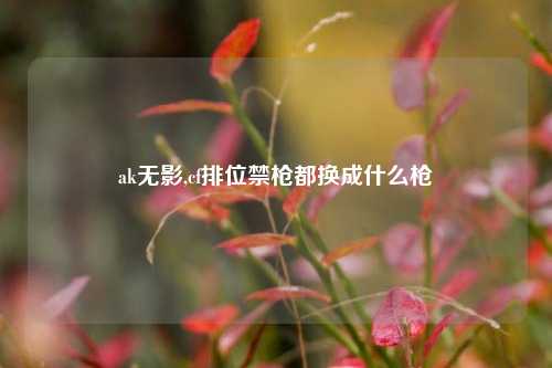 ak无影,cf排位禁枪都换成什么枪
