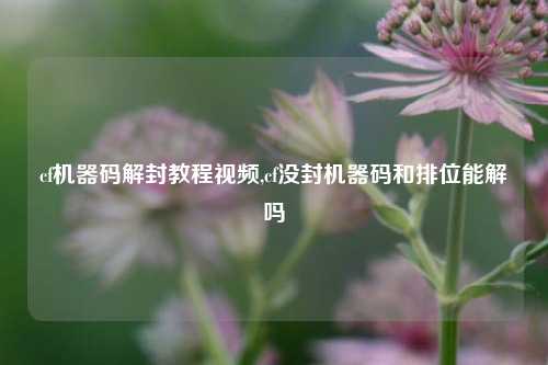 cf机器码解封教程视频,cf没封机器码和排位能解吗