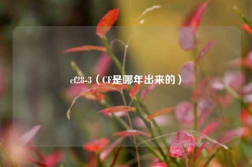 cf28-3（CF是哪年出来的）