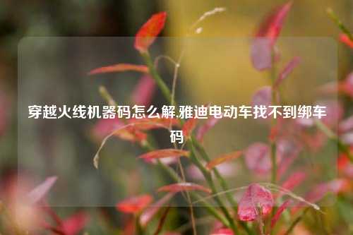 穿越火线机器码怎么解,雅迪电动车找不到绑车码