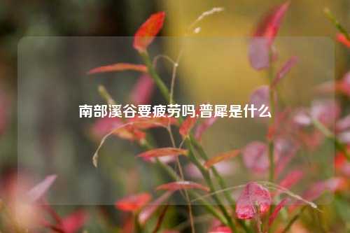 南部溪谷要疲劳吗,普犀是什么