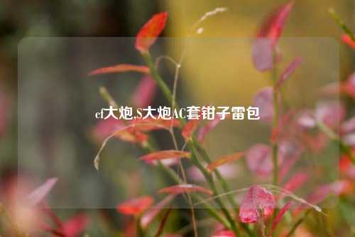 cf大炮,S大炮AC套钳子雷包