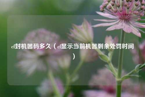 cf封机器码多久（cf显示当前机器剩余处罚时间）