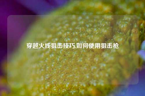 穿越火线狙击技巧,如何使用狙击枪