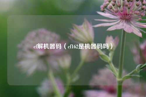 cf解机器码（cf162是机器码吗）