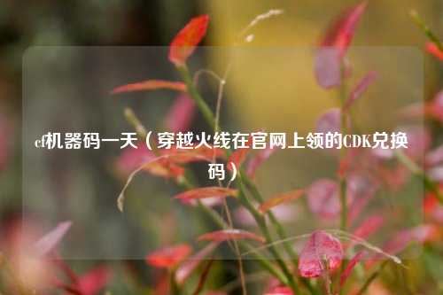 cf机器码一天（穿越火线在官网上领的CDK兑换码）