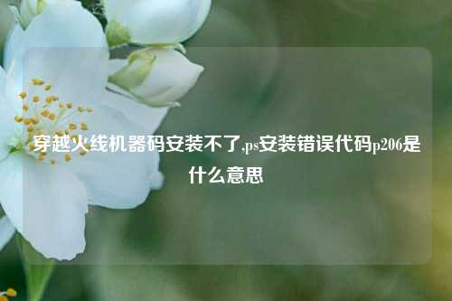 穿越火线机器码安装不了,ps安装错误代码p206是什么意思
