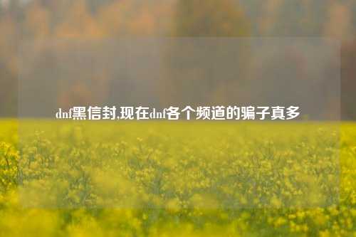 dnf黑信封,现在dnf各个频道的骗子真多